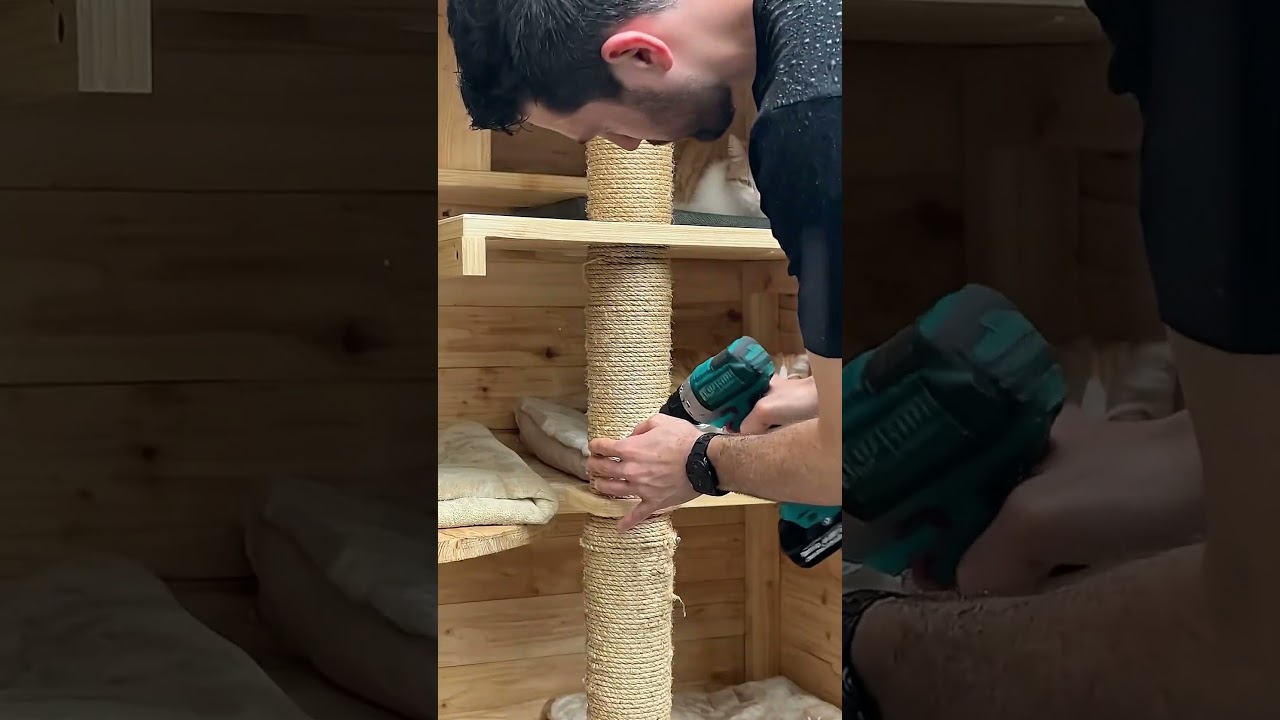 ✅ Building a Cozy Rain Shelter for Stray Cats | Amazing DIY Cat House Transformation 🐱🏠