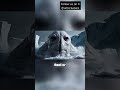 DO YOU BELIEVE THE NINGEN IS REAL? | Unknown & Mysterious Creatures #monster