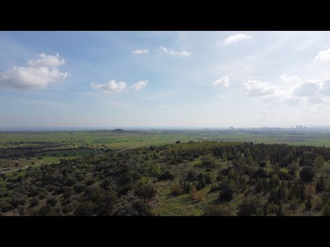 Land For Sale In North Cyprus Iskele Topcukoy