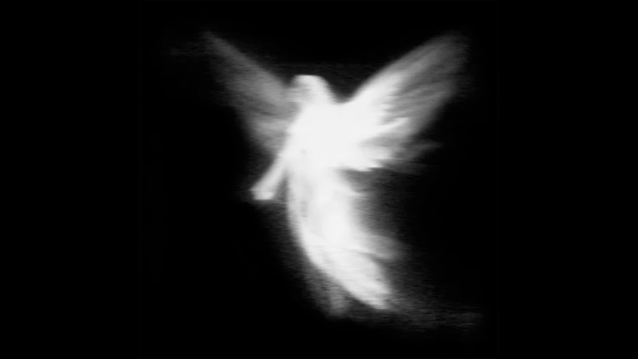 ESSXNCE, glowshade - Midnight