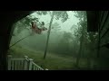 Cedar Rapids Iowa Derecho 2020 - 4k compilation: gusts+deer panics+flood!