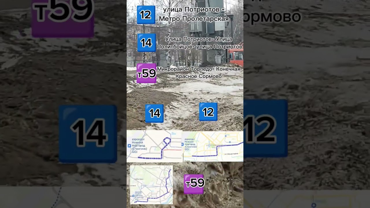 Три маршрута т59 12 и 14 