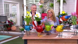 Plow & Hearth Colorful Metal Standing Bird Planter Planter on QVC