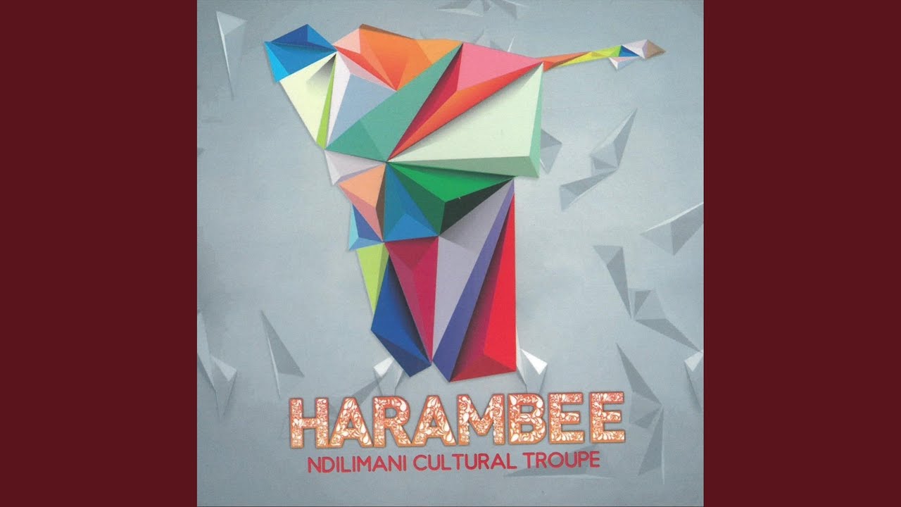 Harambe adlı videoyu YouTube'da izle Harambe adlı videoyu YouTube'da izle