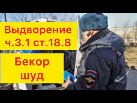 ВЫДВОРЕНИЕ БЕКОР ШУД.