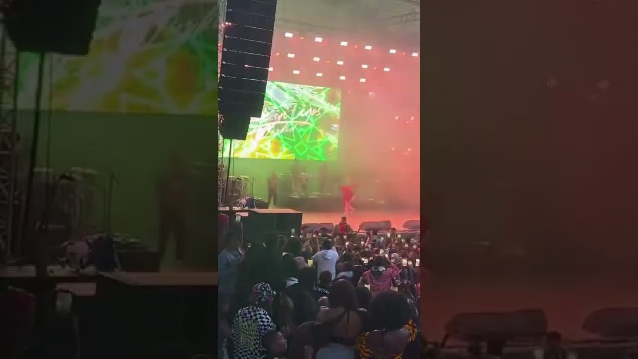 Wizkida’s grand entrance to Afrobeats Festival Berlin, Germany day 2