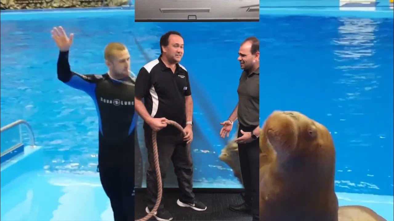 hook-should-students-be-allowed-to-bring-their-pet-walrus-to-school