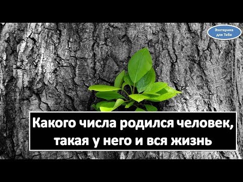 Какого числа родился человек такая у него вся жизнь