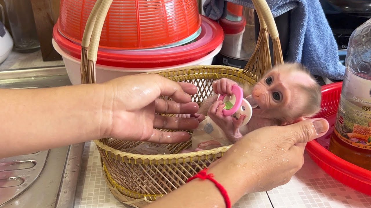 Lil Joyee Thr0w A BiqTantrum, Mom Try Tame Her With Pacifier