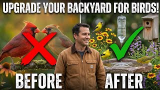 5 Habits That Actually Double the Birds Visiting You