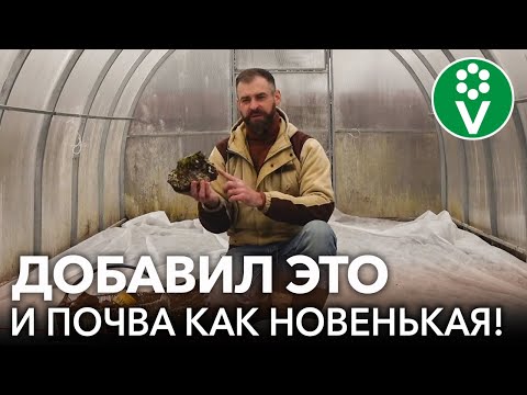 Как улучшить истощенную почву в теплице? Сделайте это до высадки томатов, перцев и огурцов