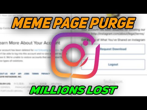 the-truth-about-the-instagram-'meme-purge'...-how-i-was-affected
