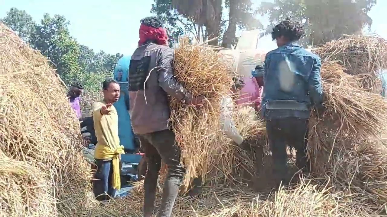 khunti padar cemera mine Biraj Sai dhanmiling