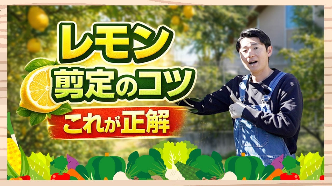 レモンの木 A complete guide to pruning lemon trees! We'll show you the key