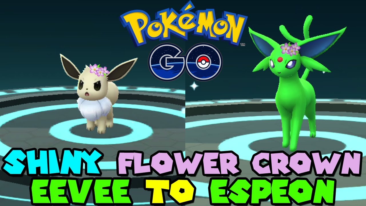 Pokemon GO Flower Crown Eevee Guide - Can Flower Crown Eevee Evolve?