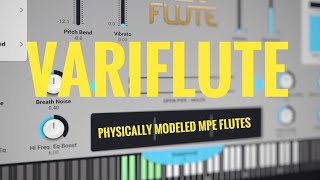 Beautiful: Audio Modeling Variflute (iPad, iPhone, Desktop) Plugin // Review & Walkthrough screenshot 1