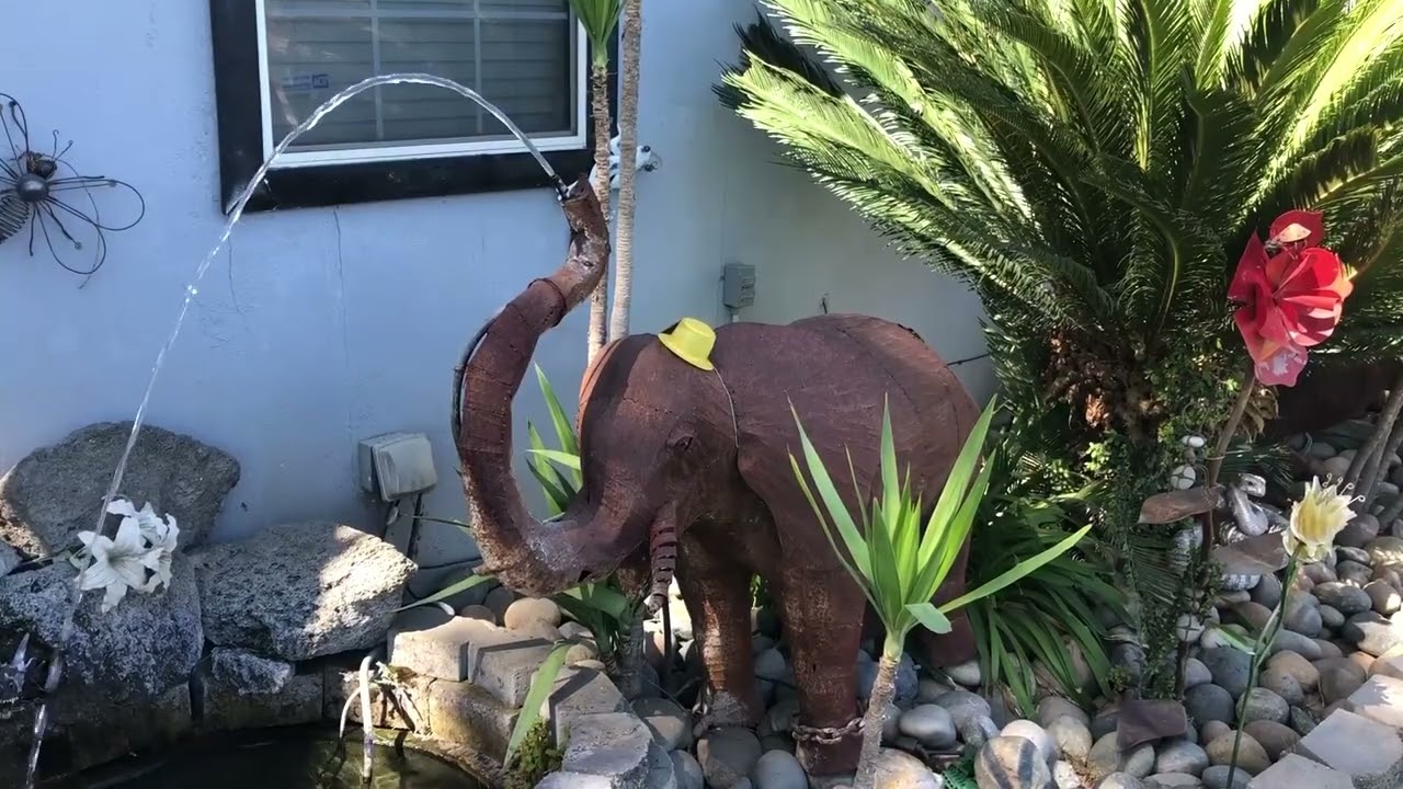 Clown Creates COVID Memorial For Community