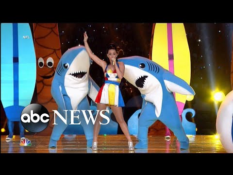 super-bowl-'left-shark'-breaks-his-silence