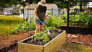 Finding space for growing cut flowers and food (DIY Tall Raised Garden Beds) Finding space for growing cut flowers and food (DIY Tall Raised Garden Beds)