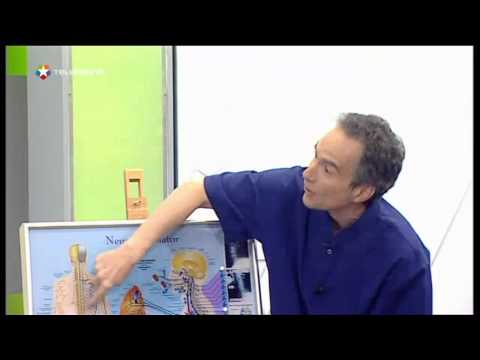 Vídeo: Adaptación Transcultural Y Propiedades Psicométricas De La Versión Holandesa Del Hand Function Sort En Pacientes Con Quejas De Mano Y / O Muñeca