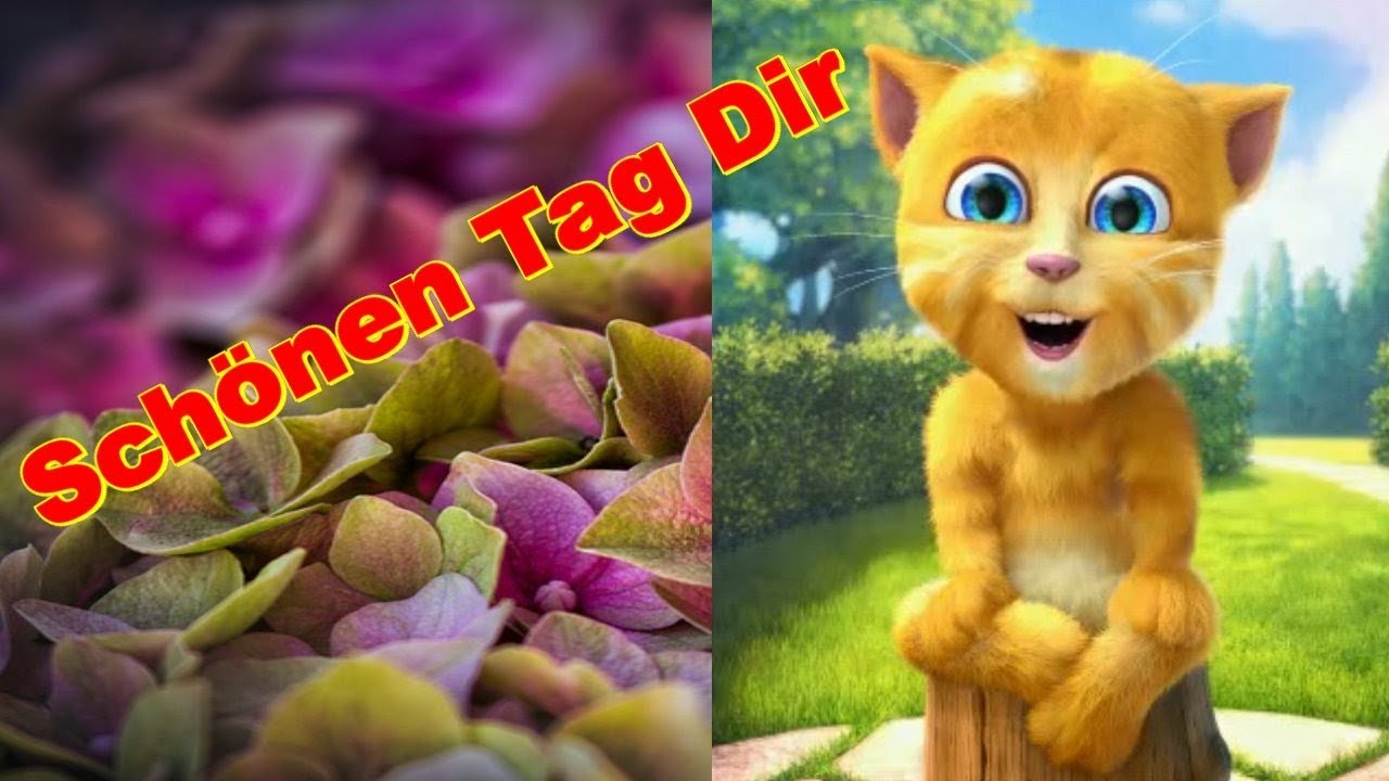 Liebe Grüße Für Einen Schönen Tag www.youtube.com