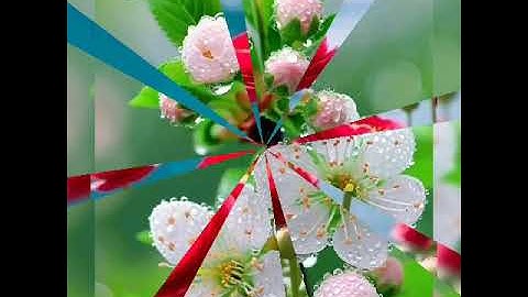 سورة  يونس 🤲🕋🤲👍الشيخ سعد الغامدي