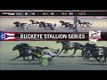 Muscle On - Buckeye Stallion Series
