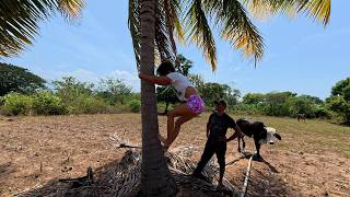 I Almost Gave Up But I Did It