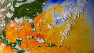 Hurricanes in 2005 Arlene To Wilma