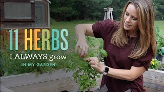 11 Herbs I ALWAYS Grow in My Garden by Beginner's Garden - Journey with Jill 7,671 views 8 days ago 14 minutes, 8 seconds