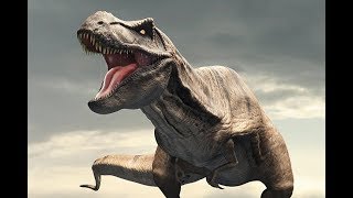 "Sue" the largest T-Rex Dinosaur is  the Field Museum’s star attraction, is on the move