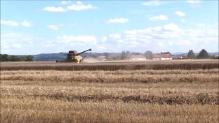 Moisson des blé [2016]: New Holland CR8.80 Partie 1