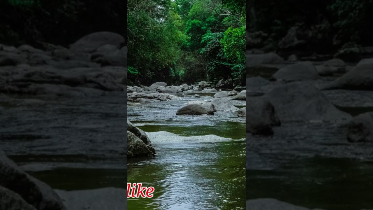 ► Relaxation, Meditation and Healing Music: auf YouTube ansehen ► Relaxation, Meditation and Healing Music: auf YouTube ansehen