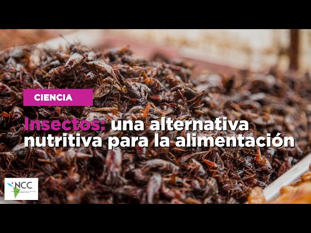 Insectos: una alternativa nutritiva para la alimentación