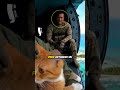 Seekor Kucing yang Dilempar dari Pesawat, Pulau Terpencil, dan Kapal Induk: Kisah Ini Nyata #shorts