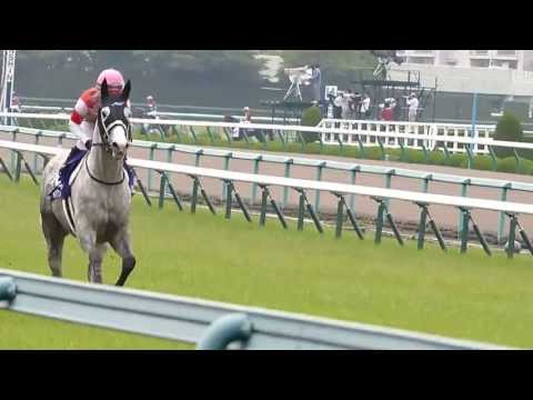 (〃▽〃)ゴールドシップ出走！宝塚記念 本馬場入場から返し馬(〃▽〃)