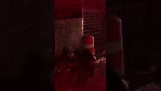 Aris explains what a relationship is like (avoidingthepuddle) Wealth