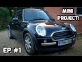 The Mini Project! Ep.1 Brakes and Bushes!