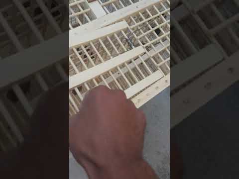 صيد الموسم صيد البلابل في الشتاء فقط تعالو شوفو شنو صدت