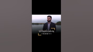 سورة النور (بيشةوا قادر الكردي)😌🖤