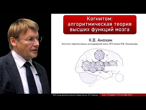 Когнитом: алгоритмическая теория высших функций мозга.  Константин Анохин