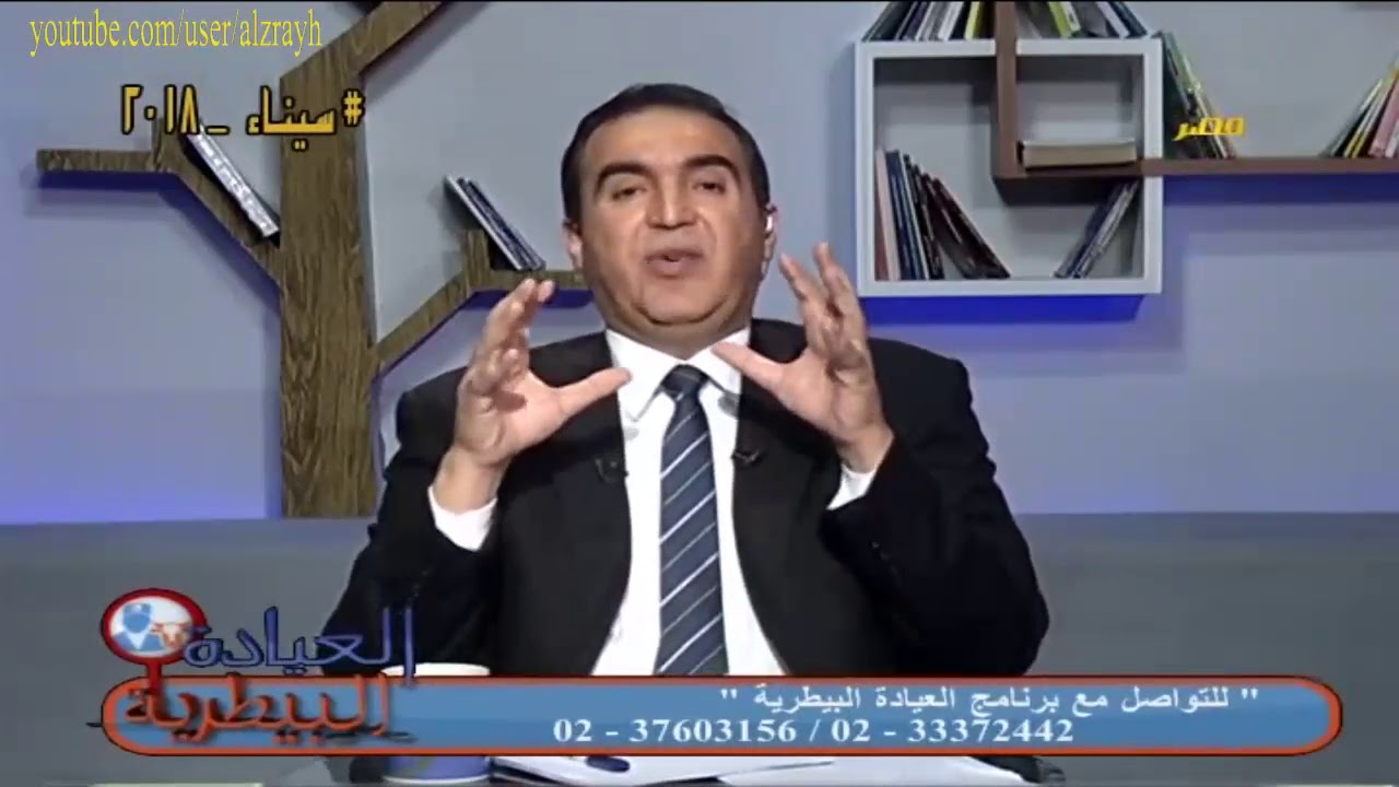 العمر الملائم لتلقيح العجلات لأول مرة