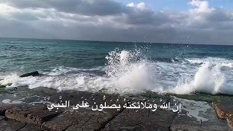 "إن الله وملائكته يصلون على النبي" بصوت القارئ عمر الدريويز | حالات واتس اب دينية ♥️