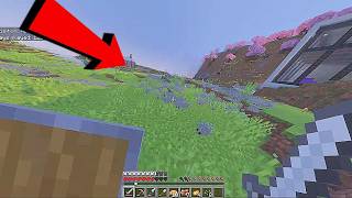 1,000,000 silverfish invade Minecraft world 🤯