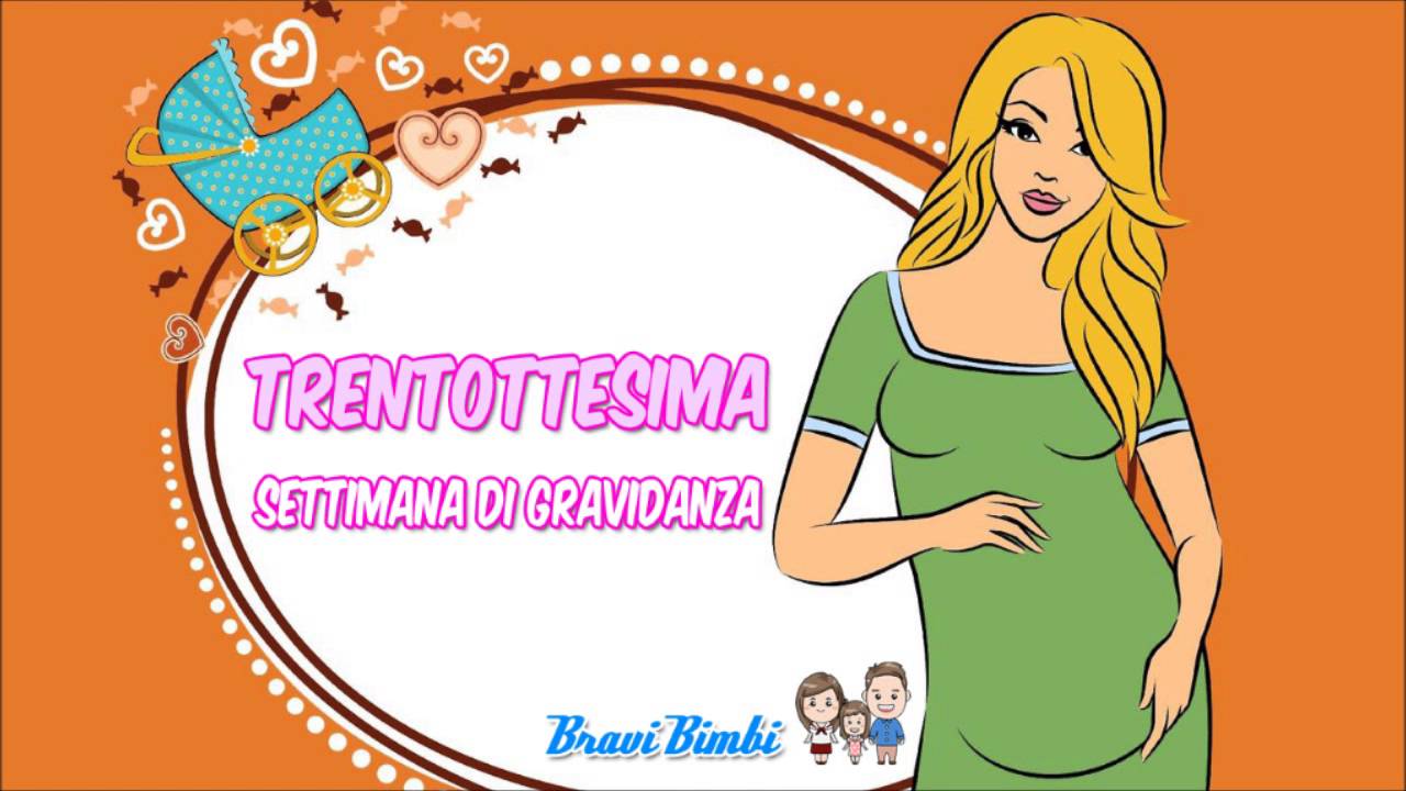 Trentottesima Settimana  di Gravidanza