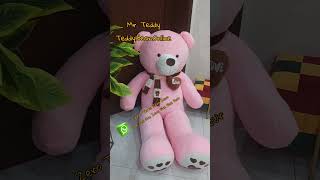 premium imported Teddy bears for sale in Pakistan
