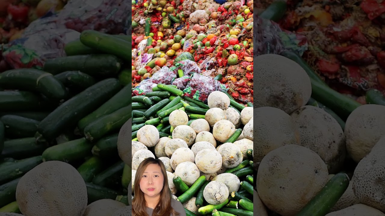 How you can help reduce food waste