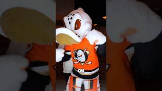 Multi-Million Dollar Hockey Area Upgrades at The Honda Center | Anaheim Ducks