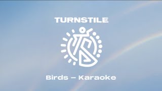 Turnstile - Birds | karaoke