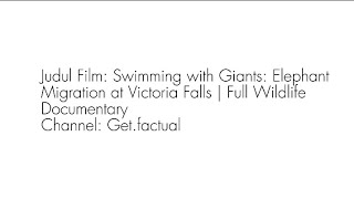 Resensi Film "Swimming with Giants: Elephant Migration at Victoria Falls|Full Wildlife Documentary"